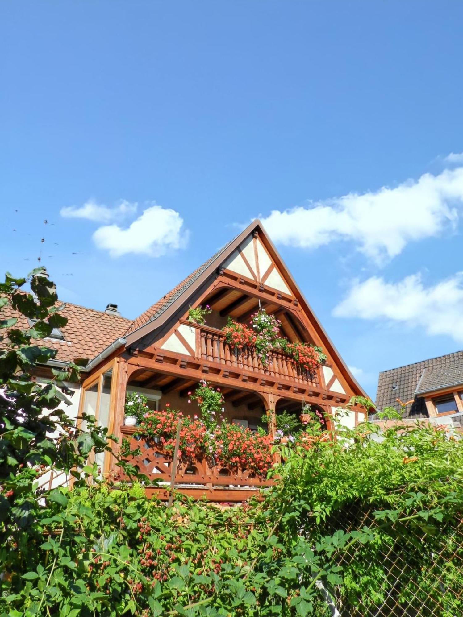 Maison Charmante Avec Vue Sur La Montagne A Triembach-Au-Val Luaran gambar
